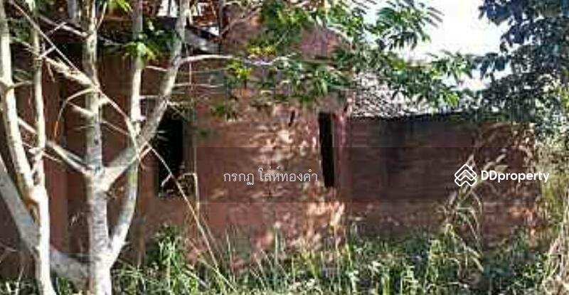 For Sale - ที่ดินภูเรือ, Loei