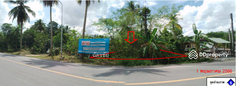 ขาย - ติดถนนสายบ้านลานช้าง – บ้านพูด, พัทลุง