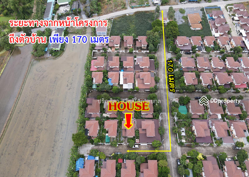 Baan Fuengsuk 5 : บ้านเฟื่องสุข 5, นนทบุรี, หมู่บ้านเฟื่องสุข 5, ลำโพ, บางบัวทอง, นนทบุรี, 93 ตร.ม., บ้านเดี่ยว ขาย, โดย ปริญธิดา สวัสดิโสภาคยกุล, 10987578 - DDproperty.com