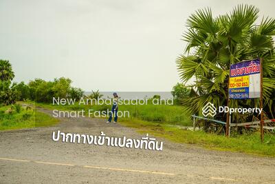 ขาย - ตพระอาจารย์ องครักษ์ นครนายก, นครนายก