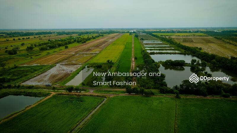 ขาย - ตพระอาจารย์ องครักษ์ นครนายก, นครนายก