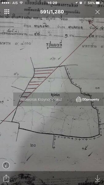 ขาย - ที่นาหนองจิก 43-3-56.6, สระบุรี