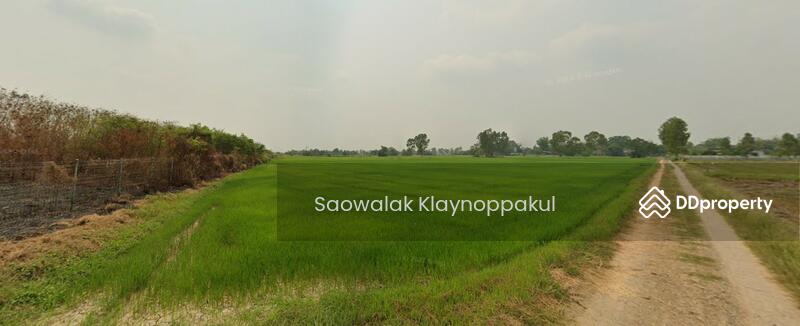 ขาย - ที่นาหนองจิก 43-3-56.6, สระบุรี