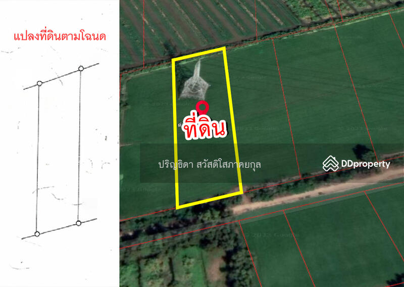 ขาย - ขายที่ดิน ถนนคลองเก้า คลองระพีพัฒน์ หนองเสือ, ปทุมธานี