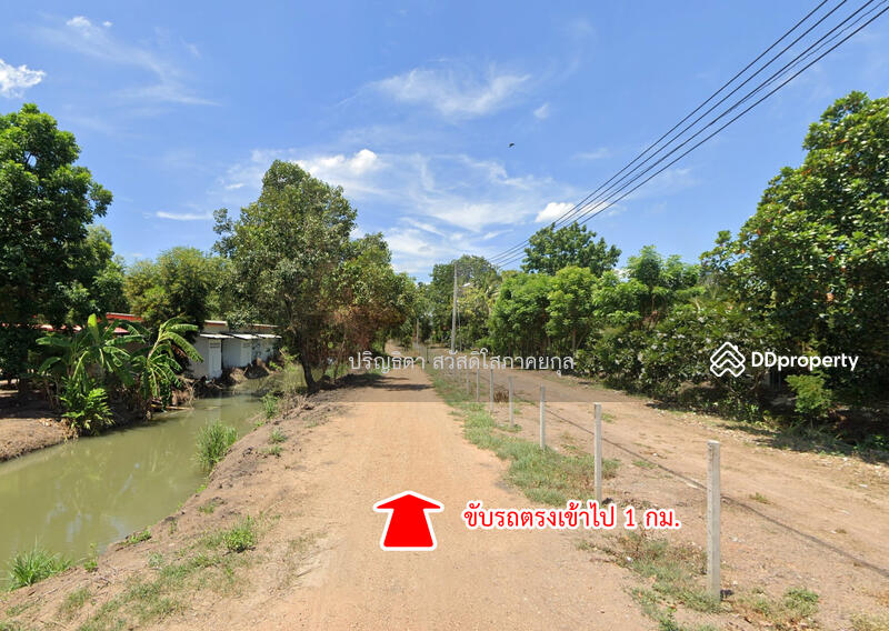 ขาย - ขายที่ดิน ถนนคลองเก้า คลองระพีพัฒน์ หนองเสือ, ปทุมธานี