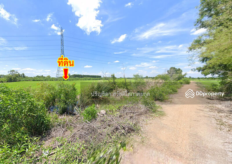 ขาย - ขายที่ดิน ถนนคลองเก้า คลองระพีพัฒน์ หนองเสือ, ปทุมธานี