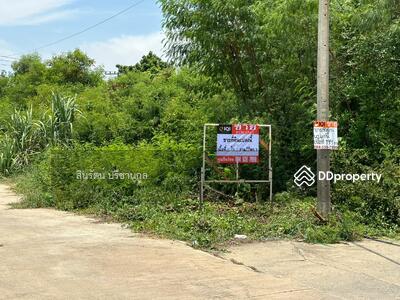 ขาย - กฤษณา 2, ปทุมธานี