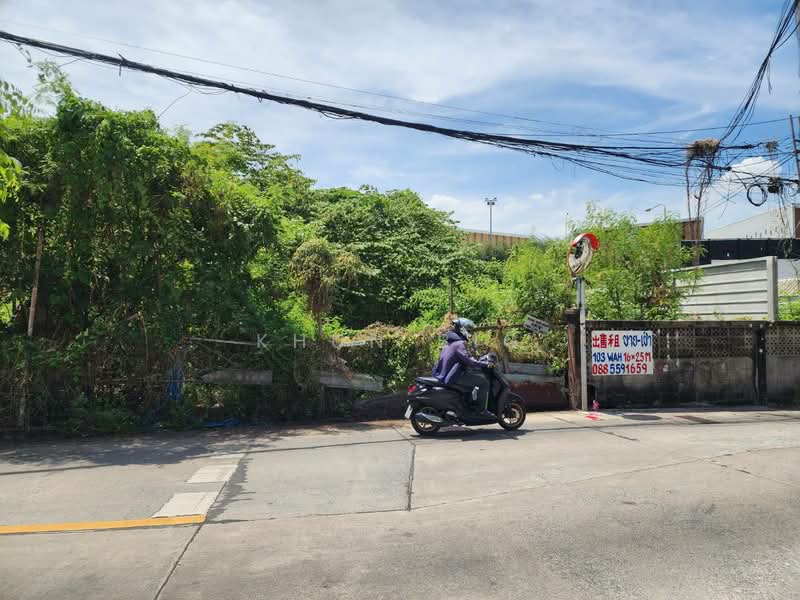 ขายที่ดิน 103 ตรว.ๆละ 2.5 แสนสุขุมวิท71/14 (ปรีดี)แยก10 ใกล้ ร.ร.นานาชาติ Prep School ทะลุออกอ่อนนุช, Bangkok, ปรีดีย์ 14, Phra Kanong Nua, Watthana, Bangkok, , 412 sqm, Land For Sale, by Khun Big, 10997241 - DDproperty.com