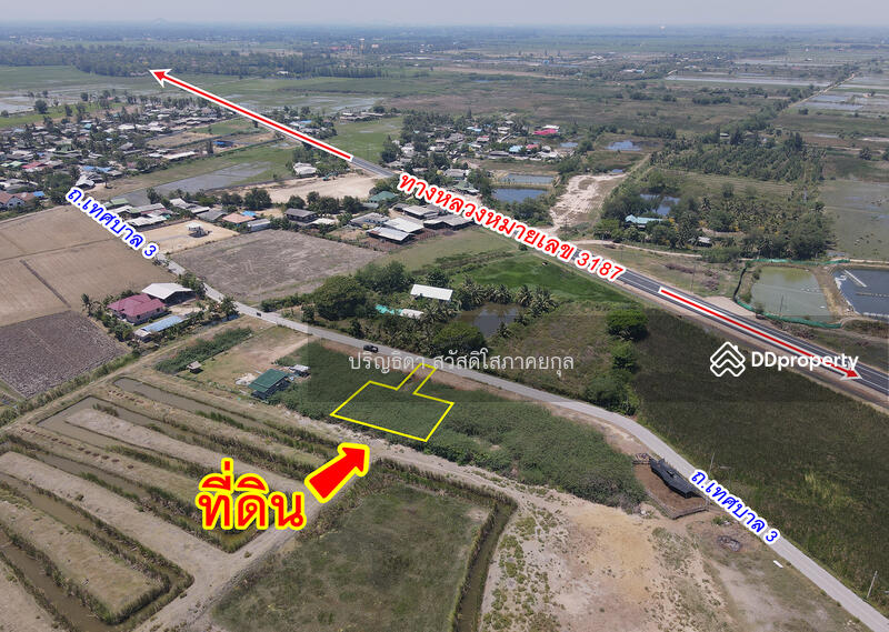 ขาย - ที่ดิน หาดเจ้าสำราญ, เพชรบุรี