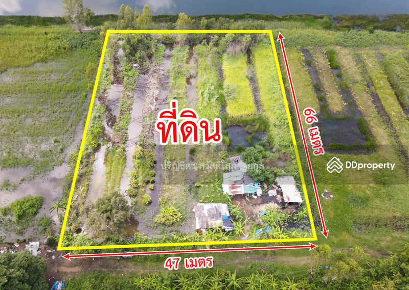 ขาย - ที่ดิน คลองสี่ คลองหลวง ใกล้ถนนเลียบกาญจนาภิเษก-ตะวันออก, ปทุมธานี
