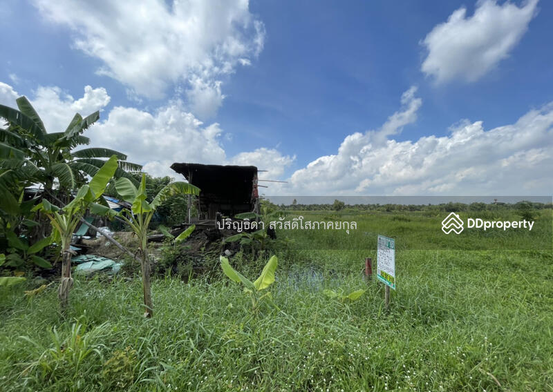 ขาย - ที่ดิน คลองสี่ คลองหลวง ใกล้ถนนเลียบกาญจนาภิเษก-ตะวันออก, ปทุมธานี