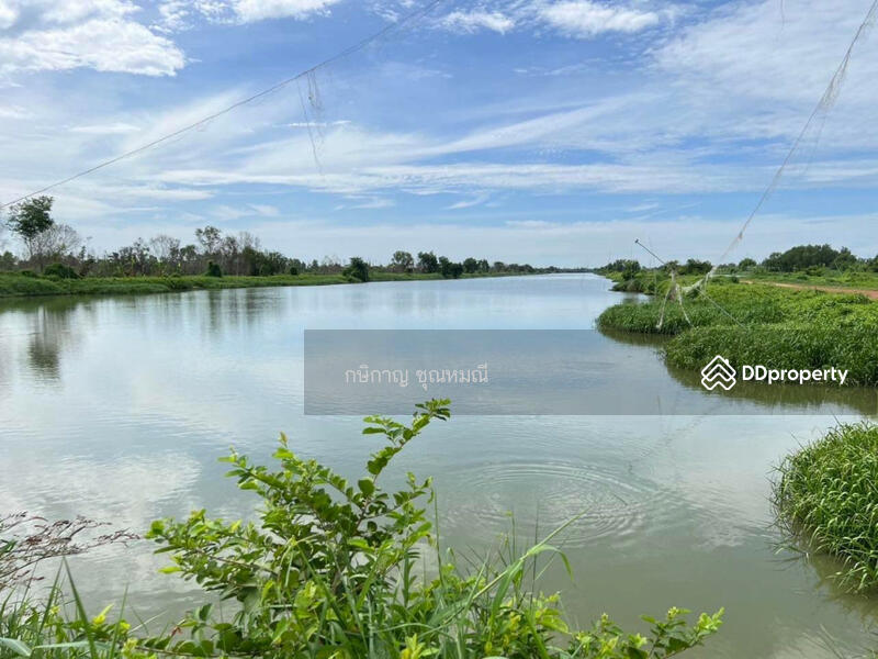 ขาย - องครักษ์, นครนายก