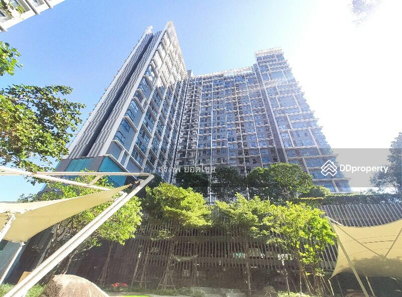 For Sale - IDEO MOBI Sukhumvit 81, Bangkok