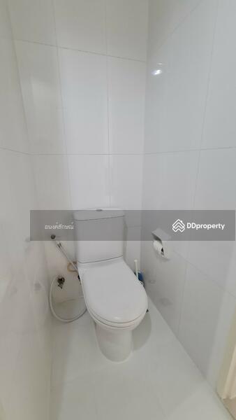 @City Condominium : แอท ซิตี้ คอนโดมิเนียม, กรุงเทพ, 169 169 ซอยสุขุมวิท 101/1 ถนนสุขุมวิท แขวงบางจาก เขตพระโขนง กรุงเทพมหานคร, บางจาก, พระโขนง, กรุงเทพ, 55 ตร.ม., คอนโด ให้เช่า, โดย อนงค์ลักษณ์ ทรงประโคน, 11003781 - DDproperty.com