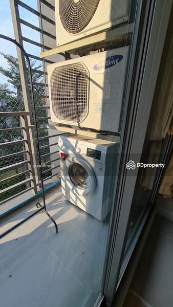 @City Condominium : แอท ซิตี้ คอนโดมิเนียม, กรุงเทพ, 169 169 ซอยสุขุมวิท 101/1 ถนนสุขุมวิท แขวงบางจาก เขตพระโขนง กรุงเทพมหานคร, บางจาก, พระโขนง, กรุงเทพ, 55 ตร.ม., คอนโด ให้เช่า, โดย อนงค์ลักษณ์ ทรงประโคน, 11003781 - DDproperty.com