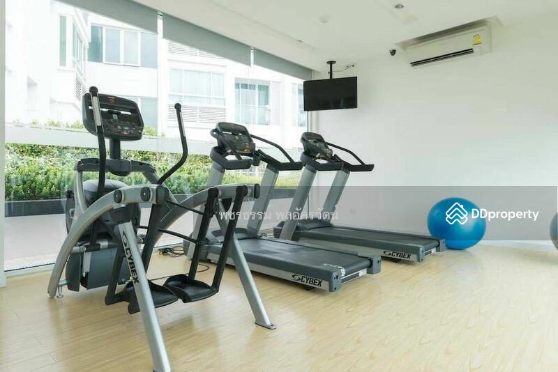 TC Green Rama 9 : ทีซี กรีน พระราม 9, กรุงเทพ, ถนนพระราม 9, ห้วยขวาง, กรุงเทพ, 38 ตร.ม., คอนโด ให้เช่า, โดย รัฐพล ศิวาโมกข์, 11004751 - DDproperty.com