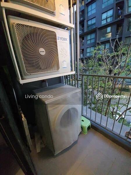 The Excel Groove Lasalle 52 : ดิ เอ็กซ์เซล กรูฟ ลาซาล 52, กรุงเทพ, ซอยสุขุมวิท 105 ถนนลาซาล, บางนา, บางนา, กรุงเทพ, 27 ตร.ม., คอนโด ขาย, โดย Living Condo, 11005048 - DDproperty.com