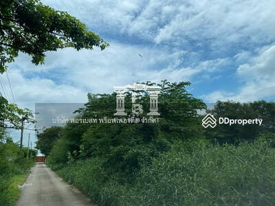 ขาย - 41876 - ขายที่ดินถมแล้ว 179 ตร.ว.ใกล้ BTS ปุณณวิถี ถนนสุขุมวิท ซอยปุณณวิถี 27, กรุงเทพ