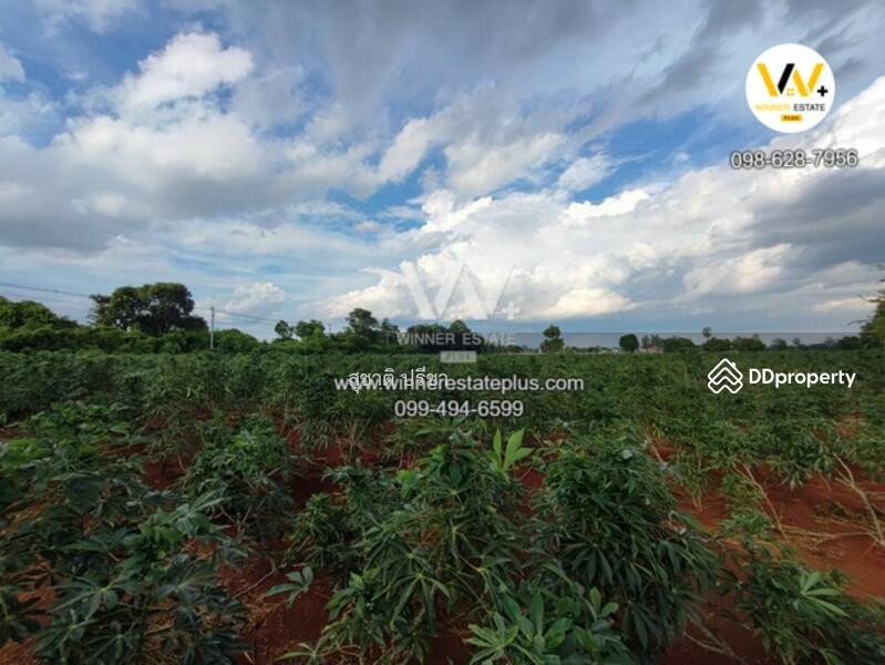 ขาย - ขายที่ดินติดถนนใหญ่แยกหนองม่วง โคกสำโรง ลพบุรี 18 ไร่กว่า สวยสูงไม่ต้องถม ติดถนน 2219 กว่า 190 M, ลพบุรี