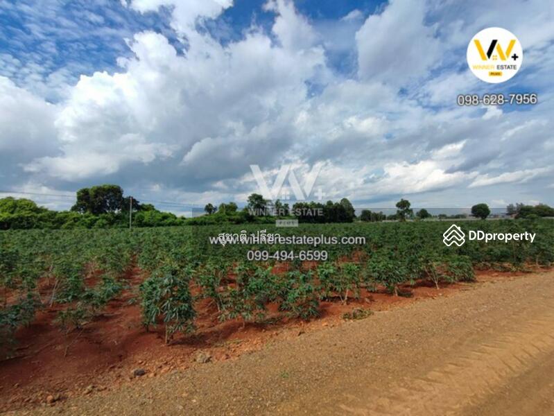 ขาย - ขายที่ดินติดถนนใหญ่แยกหนองม่วง โคกสำโรง ลพบุรี 18 ไร่กว่า สวยสูงไม่ต้องถม ติดถนน 2219 กว่า 190 M, ลพบุรี