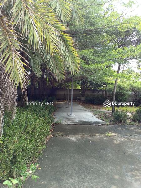 Factory for sale, good location With office and green space, Nong Samsak, Ban Bueng, Chon Buri (Pattaya), Nong Samsak, Ban Bung, Chon Buri (Pattaya), , 5,000 sqm, Warehouse/Factory For Sale, by Infinity EEC (Thailand) Co., Ltd., 11009961 - DDproperty.com