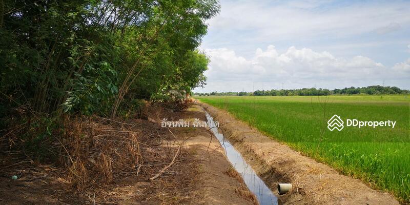 ขาย - ขายที่ดิน 77 ตรว. ต.ระแหง อ.ลาดหลุมแก้ว จ.ปทุมธานี, ปทุมธานี