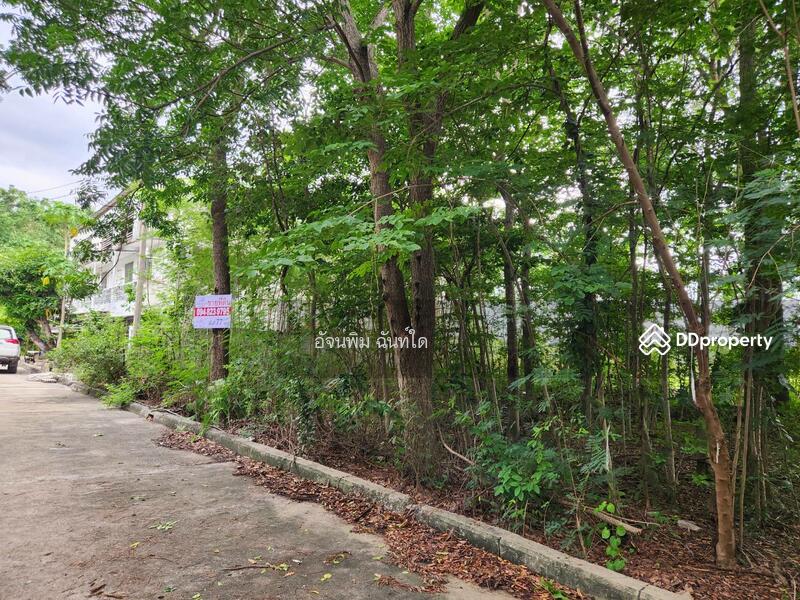 ขาย - ขายที่ดิน 77 ตรว. ต.ระแหง อ.ลาดหลุมแก้ว จ.ปทุมธานี, ปทุมธานี