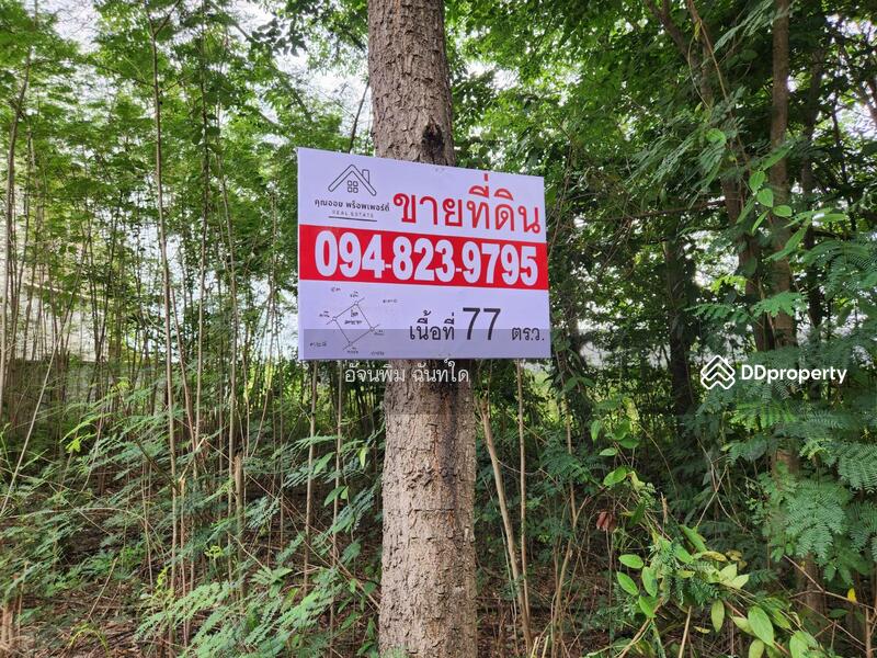 ขาย - ขายที่ดิน 77 ตรว. ต.ระแหง อ.ลาดหลุมแก้ว จ.ปทุมธานี, ปทุมธานี