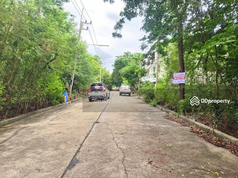 ขาย - ขายที่ดิน 77 ตรว. ต.ระแหง อ.ลาดหลุมแก้ว จ.ปทุมธานี, ปทุมธานี