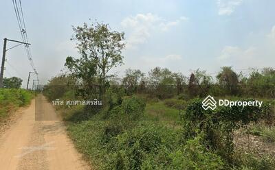 ขาย - ขายที่ดินเปล่า 100 ตร.วา รังสิตคลอง11, ปทุมธานี