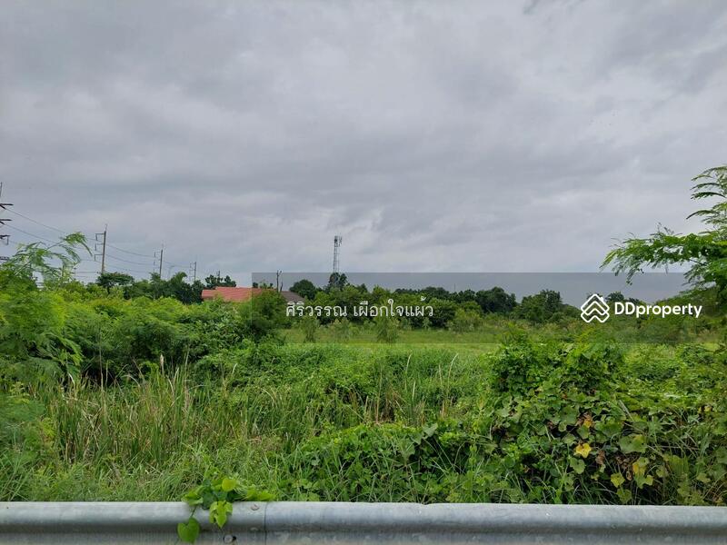 For Sale - สระบุรี, Saraburi