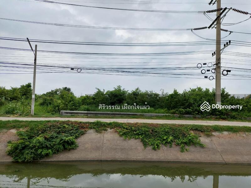 For Sale - สระบุรี, Saraburi