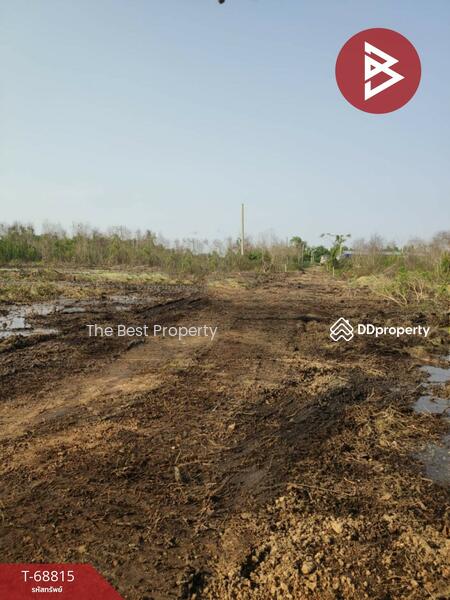 ขาย - ที่ดินบางคล้า ฉะเชิงเทรา, ฉะเชิงเทรา