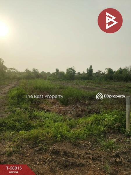 ขาย - ที่ดินบางคล้า ฉะเชิงเทรา, ฉะเชิงเทรา