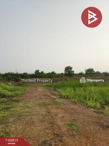 ขาย - ที่ดินบางคล้า ฉะเชิงเทรา, ฉะเชิงเทรา