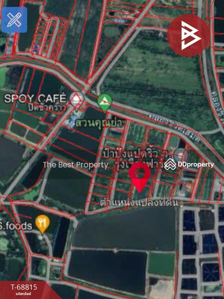 ขาย - ที่ดินบางคล้า ฉะเชิงเทรา, ฉะเชิงเทรา