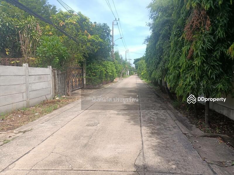 Land for sale Sukhumvit101 Bangjak Phakanong BKK, Bangkok, 565 สุขุมวิท, Bang Chak, Phra Khanong, Bangkok, , 736 sqm, Land For Sale, by นันท์นภัส ประยูรรัตน์, 11013681 - ถนนซอยกว้างรถสวนไปมาได้สะดวก - DDproperty.com