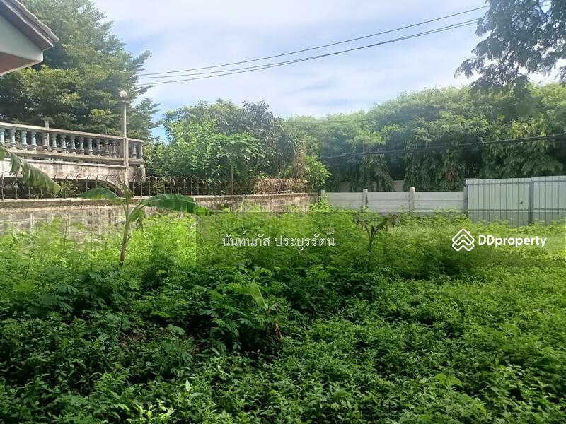 Land for sale Sukhumvit101 Bangjak Phakanong BKK, Bangkok, 565 สุขุมวิท, Bang Chak, Phra Khanong, Bangkok, , 736 sqm, Land For Sale, by นันท์นภัส ประยูรรัตน์, 11013681 - DDproperty.com