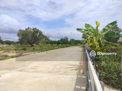 ขาย - พัทยาฝั่งตะวันออก - ซอยหนองไม้แก่น ตำบลหนองปรือ อำเภอบางละมุง จังหวัดชลบุรี, ชลบุรี