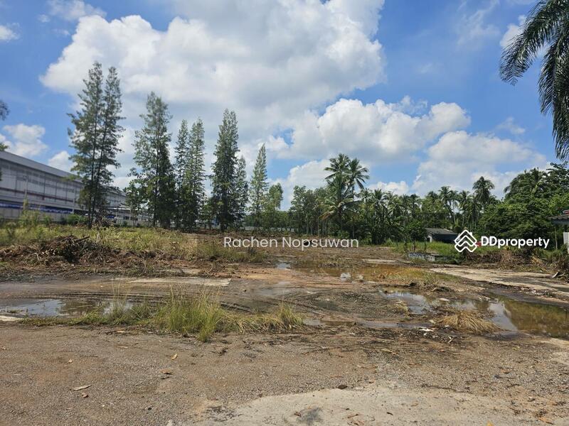 For Sale - ที่ดินสะเดา 13ไร่ 3งาน 17ตร.ว. (ไร่ละ 2.5ล้าน) ติดถนนใหญ่ เหมาะสร้างโรงงาน ฟรีโอน!, Songkhla