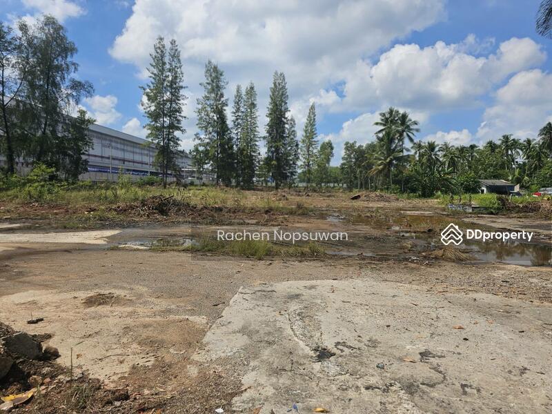 For Sale - ที่ดินสะเดา 13ไร่ 3งาน 17ตร.ว. (ไร่ละ 2.5ล้าน) ติดถนนใหญ่ เหมาะสร้างโรงงาน ฟรีโอน!, Songkhla