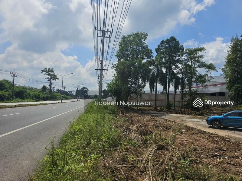 For Sale - ที่ดินสะเดา 13ไร่ 3งาน 17ตร.ว. (ไร่ละ 2.5ล้าน) ติดถนนใหญ่ เหมาะสร้างโรงงาน ฟรีโอน!, Songkhla