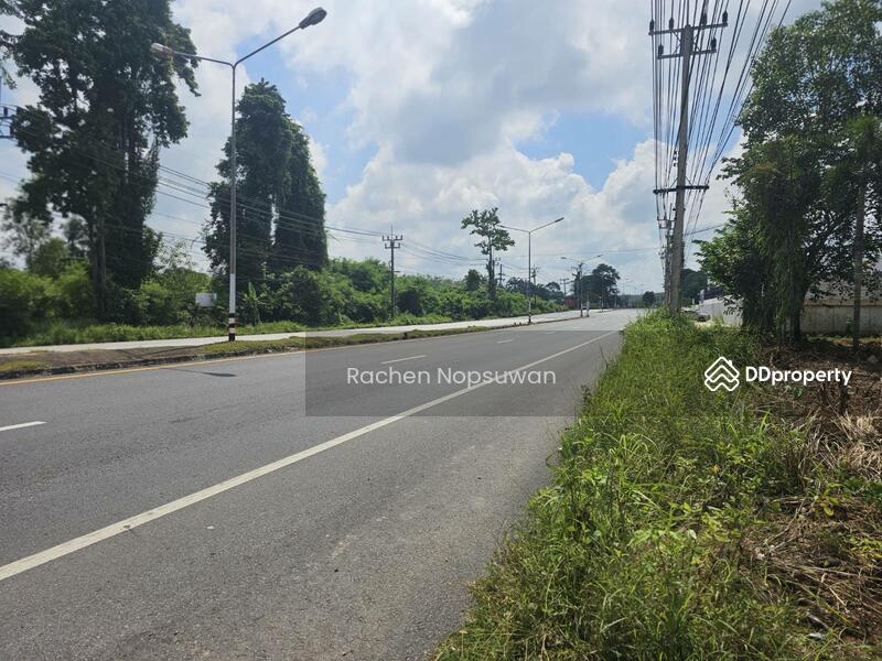 For Sale - ที่ดินสะเดา 13ไร่ 3งาน 17ตร.ว. (ไร่ละ 2.5ล้าน) ติดถนนใหญ่ เหมาะสร้างโรงงาน ฟรีโอน!, Songkhla