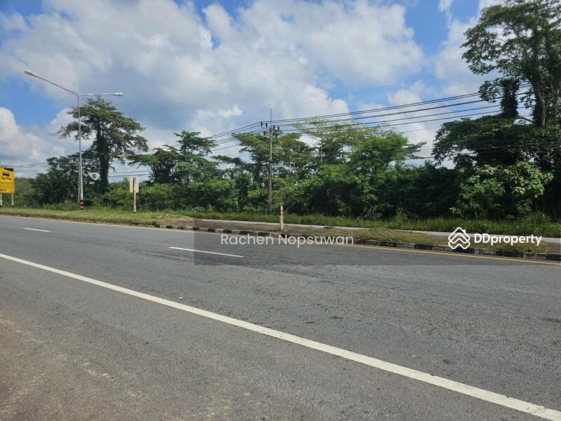 For Sale - ที่ดินสะเดา 13ไร่ 3งาน 17ตร.ว. (ไร่ละ 2.5ล้าน) ติดถนนใหญ่ เหมาะสร้างโรงงาน ฟรีโอน!, Songkhla