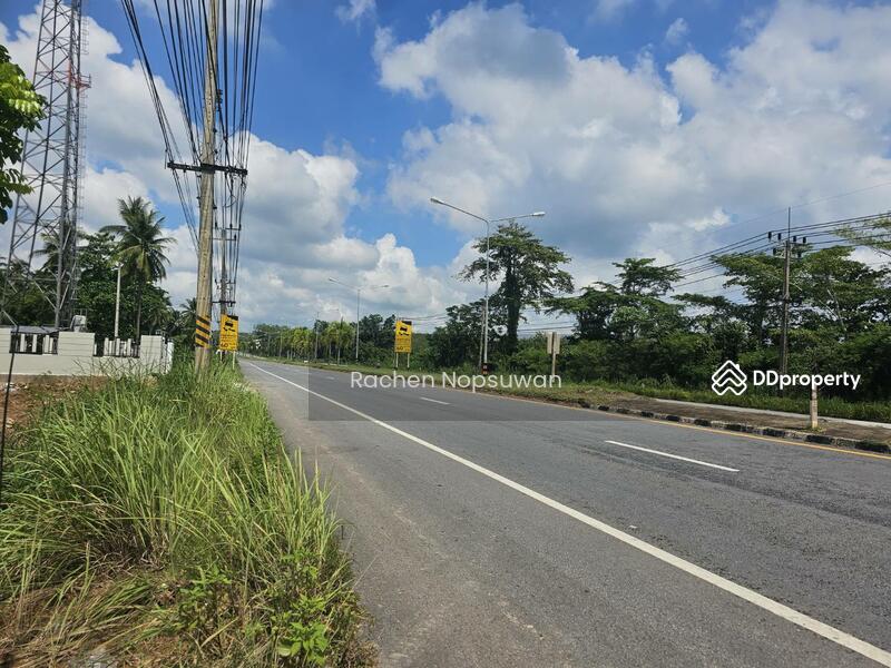 For Sale - ที่ดินสะเดา 13ไร่ 3งาน 17ตร.ว. (ไร่ละ 2.5ล้าน) ติดถนนใหญ่ เหมาะสร้างโรงงาน ฟรีโอน!, Songkhla