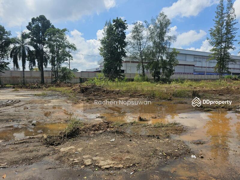 For Sale - ที่ดินสะเดา 13ไร่ 3งาน 17ตร.ว. (ไร่ละ 2.5ล้าน) ติดถนนใหญ่ เหมาะสร้างโรงงาน ฟรีโอน!, Songkhla
