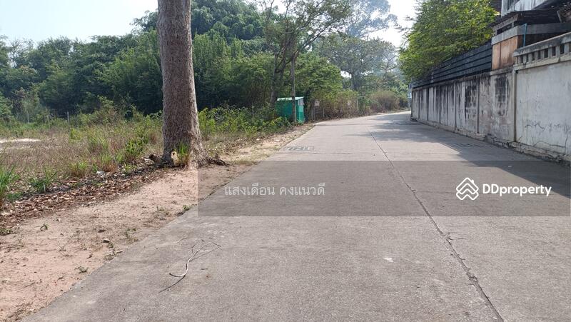 ให้เช่าที่ดิน1ไร่ ใกล้คริสจักรนาเกลือห่าง สุขุมวิท100เมตร, ชลบุรี, 56 สุขุมวิท, นาเกลือ, บางละมุง, ชลบุรี, 515 ตร.ม., ที่ดิน ให้เช่า, โดย แสงเดือน คงแนวดี, 11014939 - DDproperty.com
