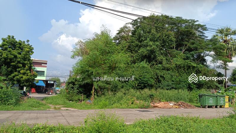Land 500sq.m. for rent near Nissan Pattaya Thailand, Chon Buri (Pattaya), 56 สุขุมวิท, Na Kloe, Bang Lamung (Pattaya), Chon Buri (Pattaya), , 515 sqm, Land For Rent, by แสงเดือน คงแนวดี, 11014939 - DDproperty.com
