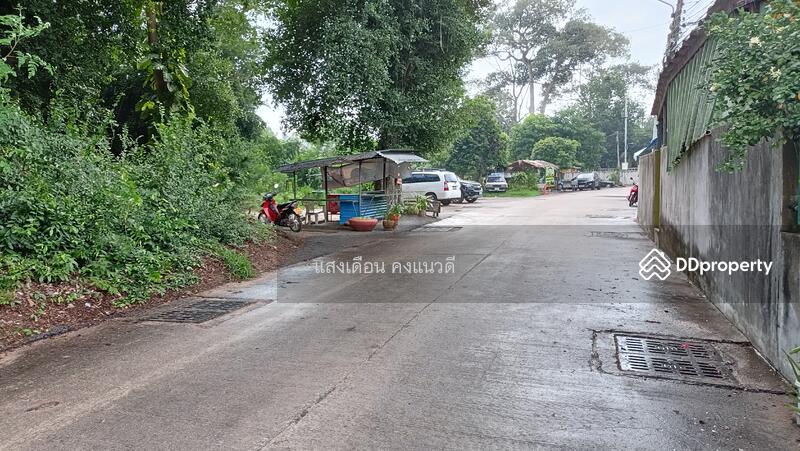 Land 500sq.m. for rent near Nissan Pattaya Thailand, Chon Buri (Pattaya), 56 สุขุมวิท, Na Kloe, Bang Lamung (Pattaya), Chon Buri (Pattaya), , 515 sqm, Land For Rent, by แสงเดือน คงแนวดี, 11014939 - DDproperty.com