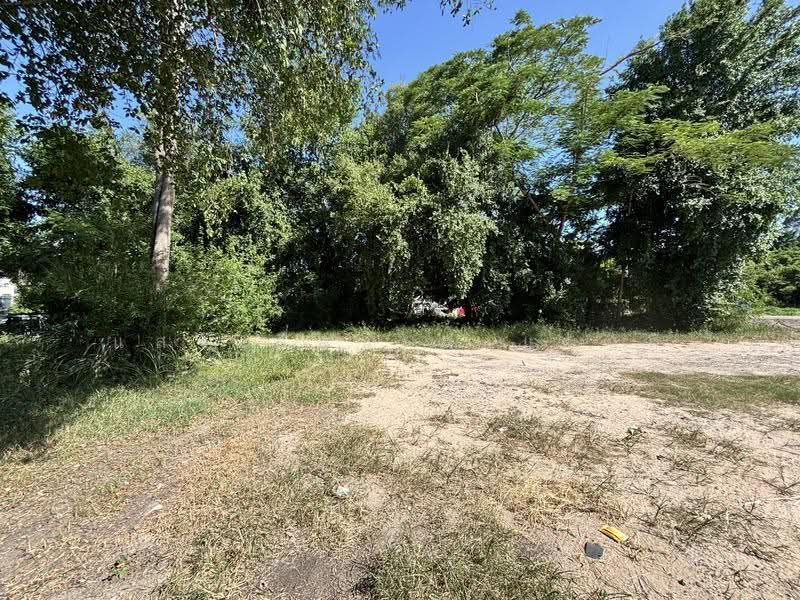 Land 500sq.m. for rent near Nissan Pattaya Thailand, Chon Buri (Pattaya), 56 สุขุมวิท, Na Kloe, Bang Lamung (Pattaya), Chon Buri (Pattaya), , 2,060 sqm, Land For Rent, by แสงเดือน คงแนวดี, 11014939 - DDproperty.com